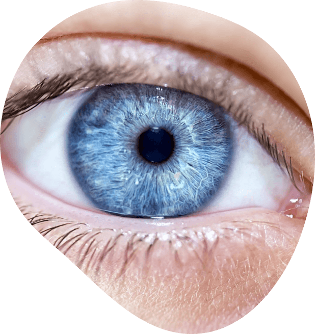 Reasons why you may struggle with dry eye syndrome: