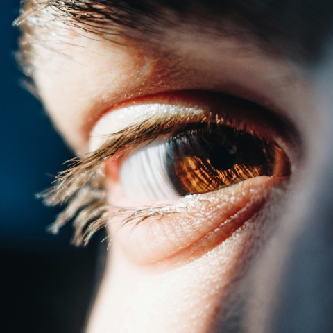 Zwyrodnienie plamki żółtej – przyczyny, objawy, leczenie