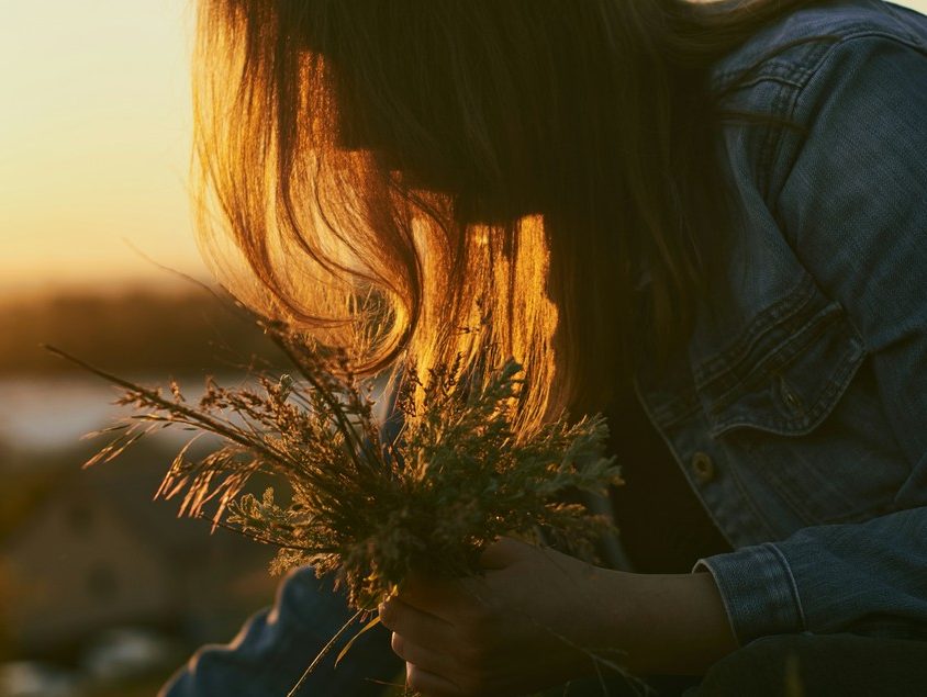 Jakie zioła korzystnie wpływają na oczy?